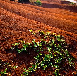 国产战棋策略卡牌Roguelite新作《迷失幻途》现已在Steam开启免费试玩 